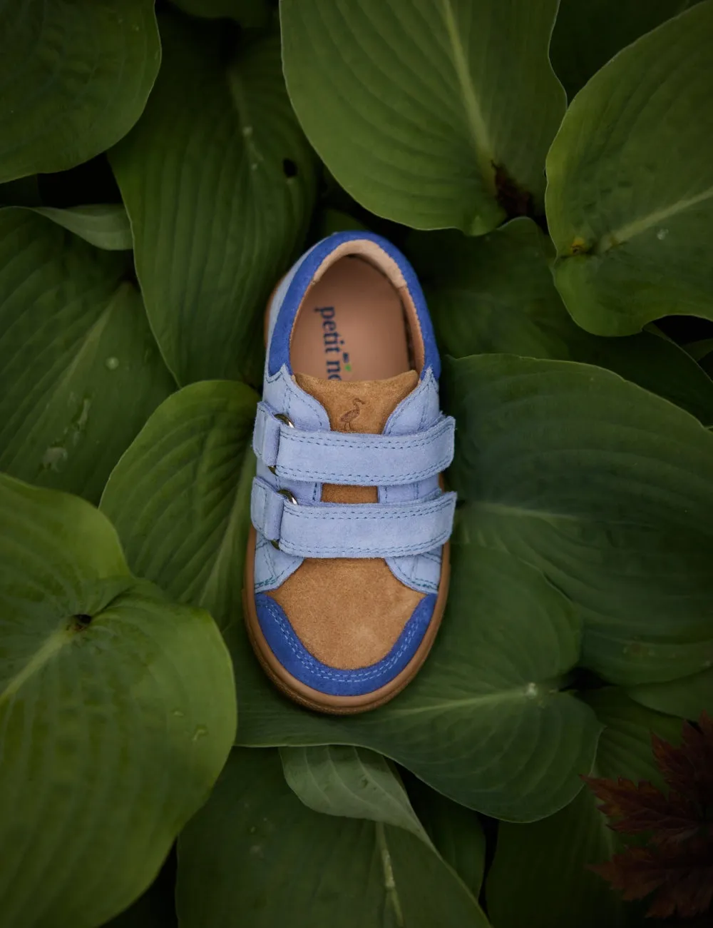 Low Sneaker - Color Block Sky Suede