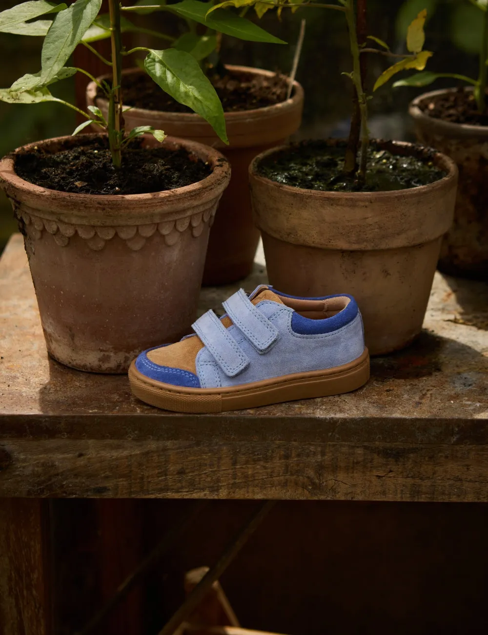 Low Sneaker - Color Block Sky Suede