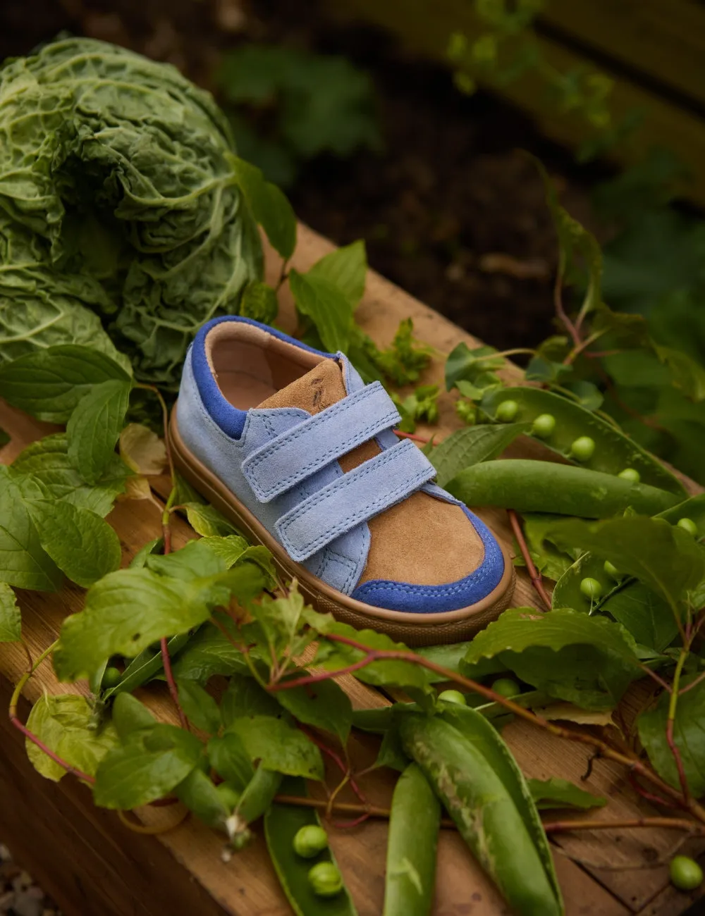 Low Sneaker - Color Block Sky Suede